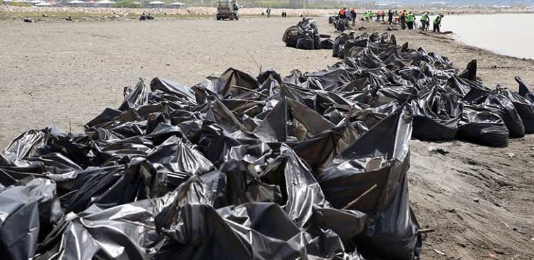 100 kişilik ekip Van Gölü sahilinde 110 ton çöp topladı
