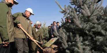 11-milyon-fidan-kurudu-mu-bakanliktan-aciklama-geldi