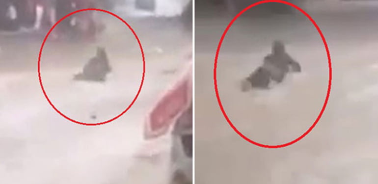 Şiddetli sağanak şehri vurdu: Vatandaş sulara kapıldı
