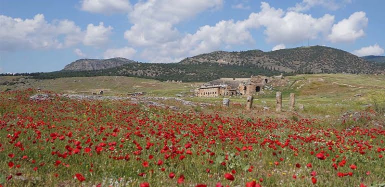 Hierapolis Antik Kenti’nde çiçeklerle görsel şölen