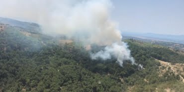 İzmir'de orman yangını