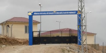 HDP'li belediyenin hayvan barınağında havan mermisi bulundu