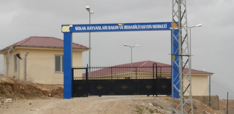 HDP’li belediyenin hayvan barınağında havan mermisi bulundu