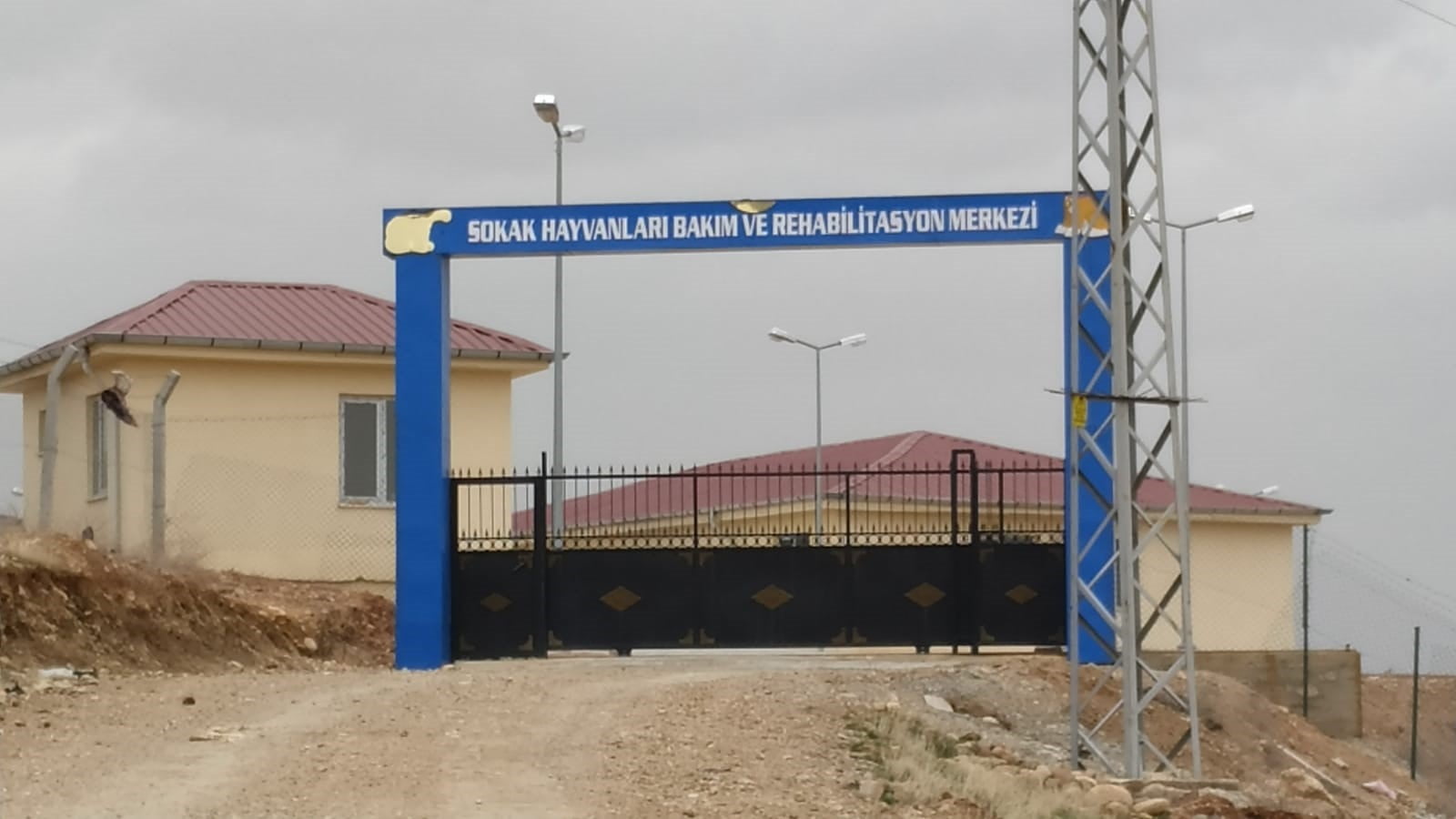HDP'li belediyenin hayvan barınağında havan mermisi bulundu