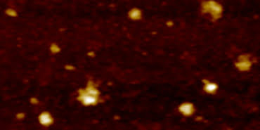 20200704_2_43279447_56428678