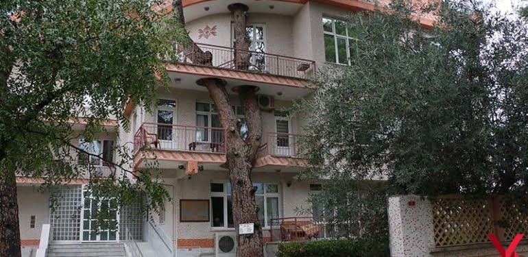 3 asırlık ağaç balkondan geçiyor