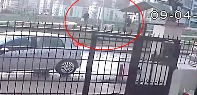 16 köpeğin zehirlenmesine ilişkin olayın kamera kayıtları