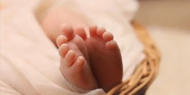 BEBE