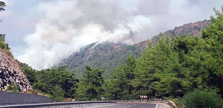 Muğla’da orman yangını