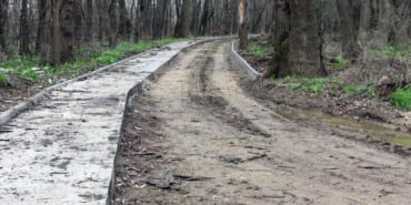 Edirne-Tavuk-Ormaninda-Betonlasma-800x445-1