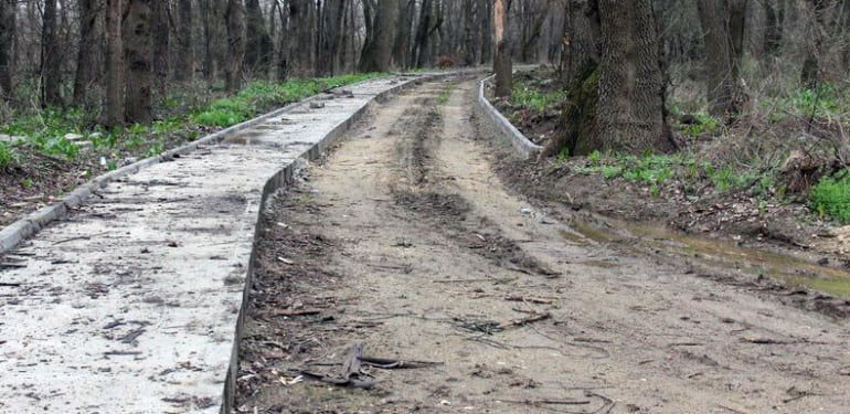 Edirne-Tavuk-Ormaninda-Betonlasma-800x445-1