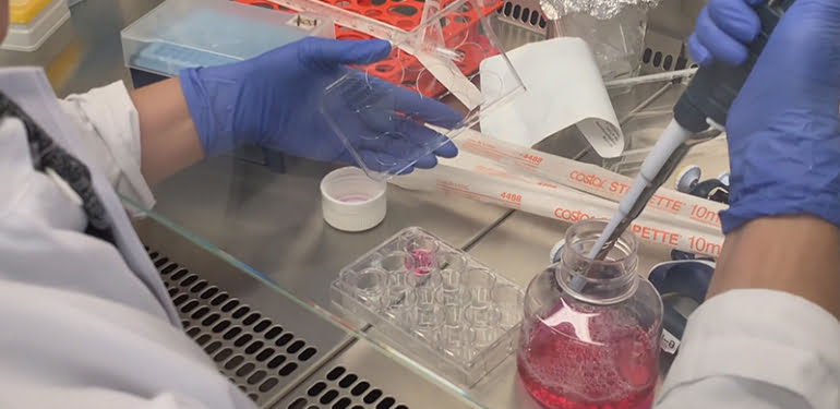 Çığır açabilir: Türk bilim insanından 3 boyutlu organ haritası
