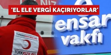 VERGI1