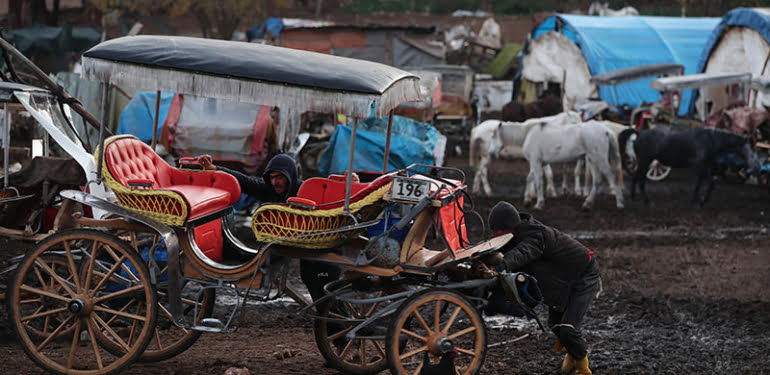 adalar-fayton-raporunun-sonucunu-bekliyor_7982_dhaphoto7