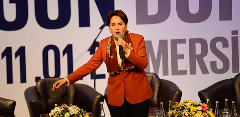 Meral Akşener elindeki son anketi açıkladı