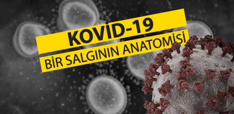 Kovid-19: Bir salgının anatomisi