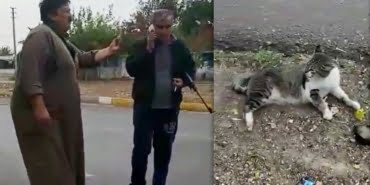 antalya-suriyeli