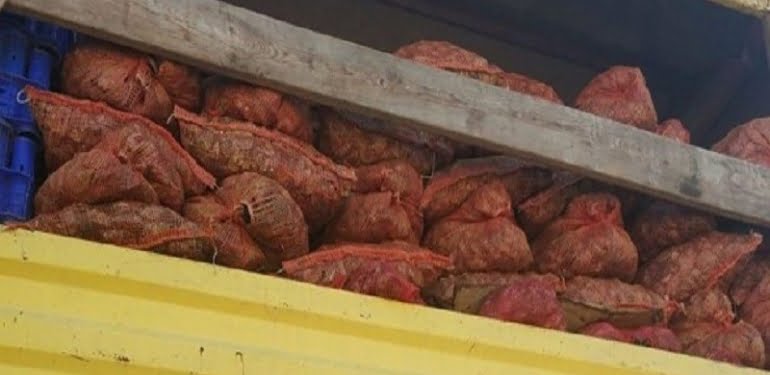 antalyada-8-ton-kuflenmis-midye-ele-gecirildi8QqCcrOATUWVvOUWEqcB4Q