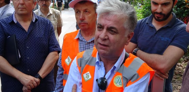 Asırlık çınarların tomogrofisini çekiyorlar