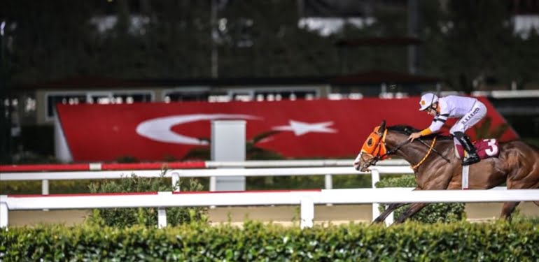 At yarışları başlatılsın talebi