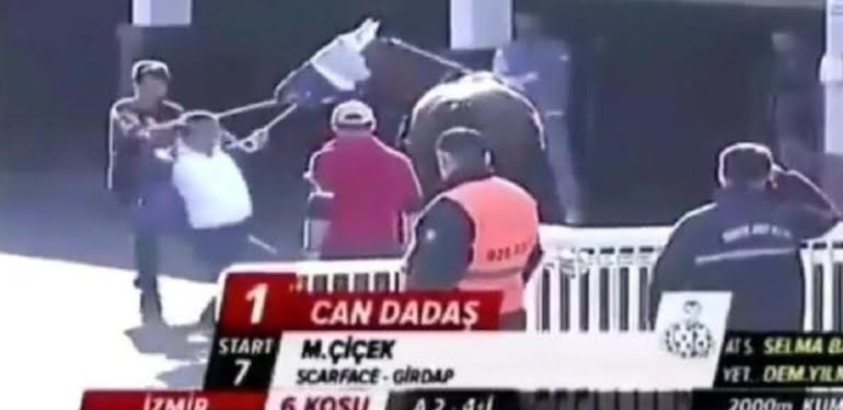 atina-siddet-gosteren-sahibe-ceza-geliyor