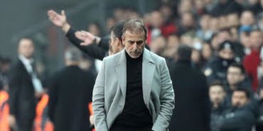 avci