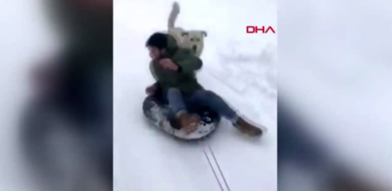 Ayder’de kar eğlencesi yapan vatandaşları kovalayan köpek zor anlar yaşattı