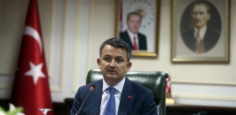 bak1-1-e1576494408849
