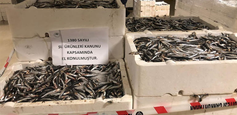 Marmara Denizi’nde yapılan denetimlerde 53 ton balığa el konuldu