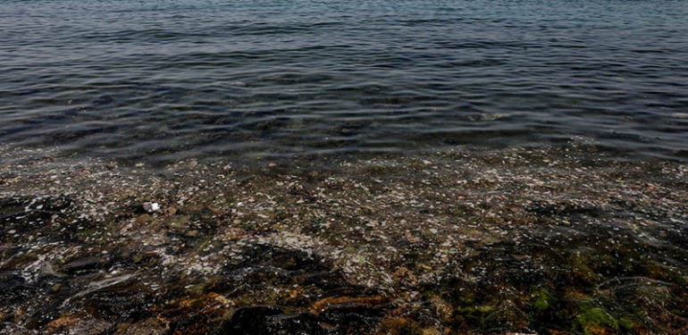 Bu kez Caddebostan… Deniz kıyısı pislik içinde