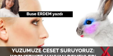 buse-1