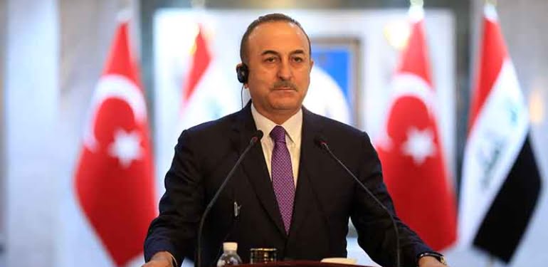 cavusoglu-irak
