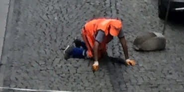 cevad2