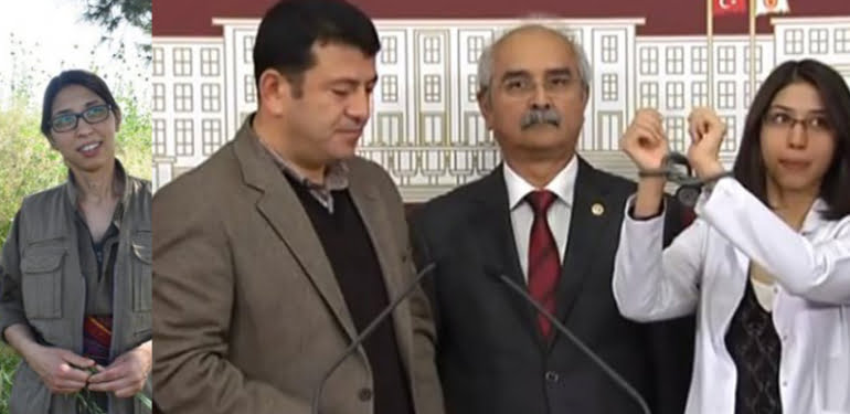 chp-pydli