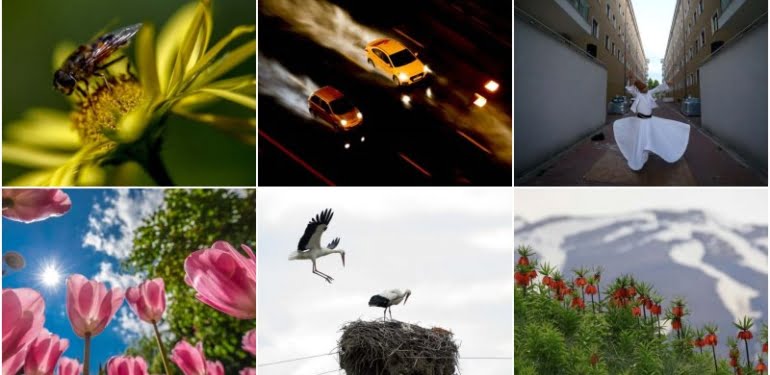Haftanın fotoğrafları