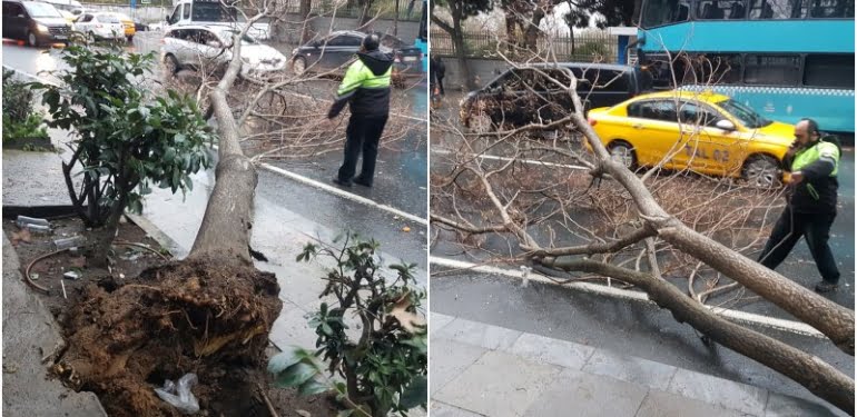 Şişli’de ağaç yoldaki insanların üstüne böyle devrildi