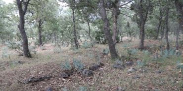denizlide-99-yil-once-yakilarak-oldurulen-83-turkun-mezari-tespit-edildi_2546_dhaphoto1