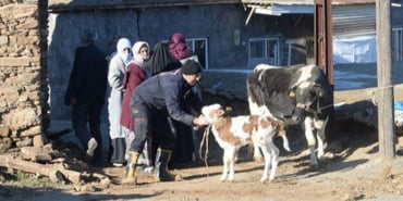 depremde-mahsur-kalan-hayvanlarkurtarildi-veryansintv