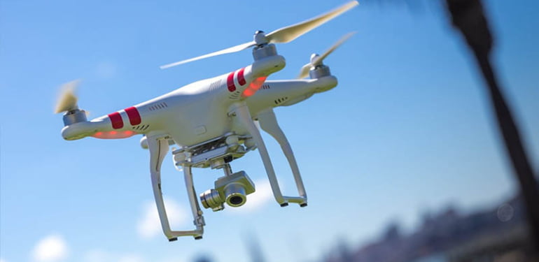 Dron karganın saldırısına uğradı