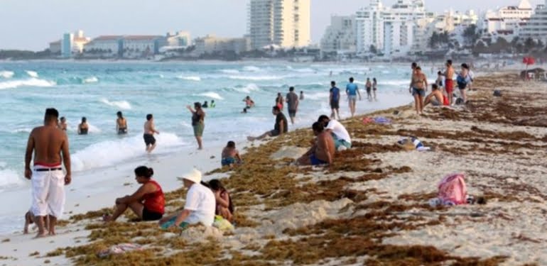 Turistik plajları istila etti