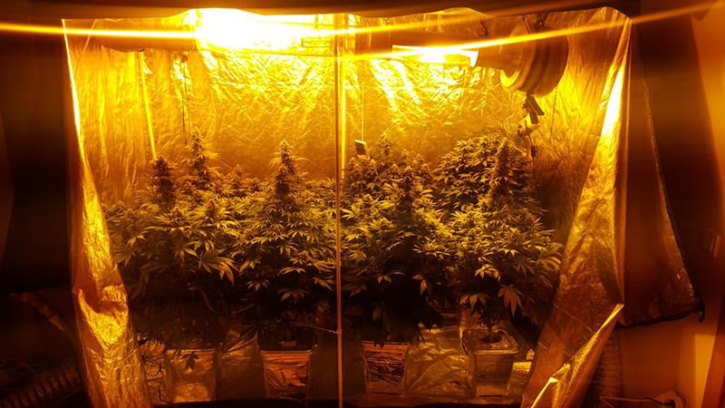 featured