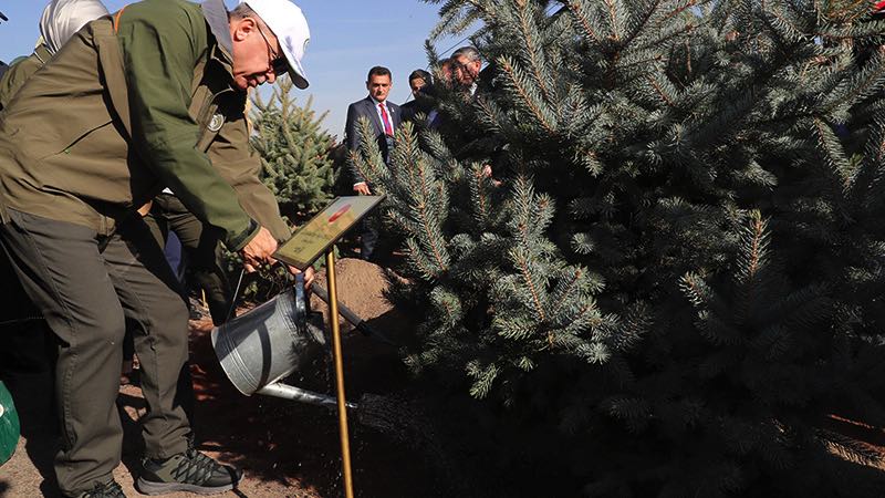featured