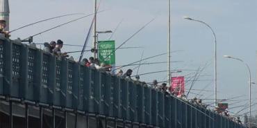 galata-koprusu-eski-gunlerine-dondu-kovalar-balikla-doldu-veryansin-tv-1
