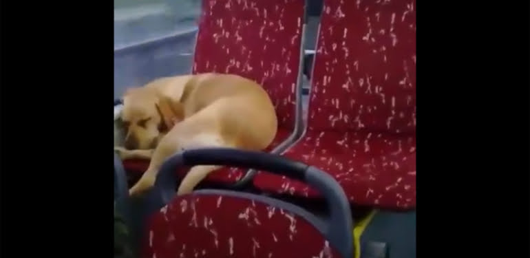 Günün en güzel haberi İstanbul’dan…