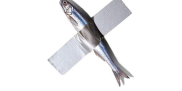 ham1