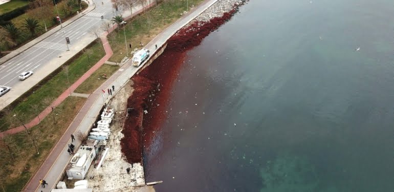 Caddebostan sahili kızıla döndü!