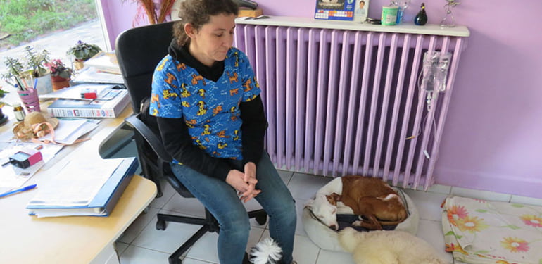 Hayvanseverleri ayağa kaldıran o veteriner konuştu