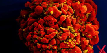 hiv-1