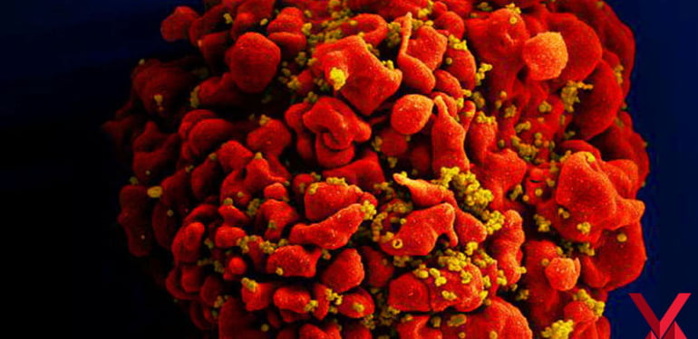 hiv-1