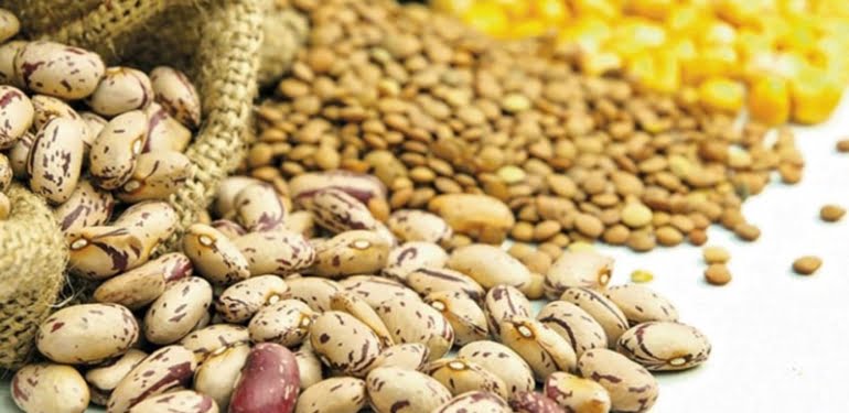 Hububatta 6.7 milyar dolarlık ihracatı başarısı